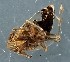  ( - ZMUO.078890)  @11 [ ] by-nc (2023) Marko Mutanen University of Oulu