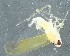  ( - ZMUO.078918)  @11 [ ] by-nc (2023) Marko Mutanen University of Oulu