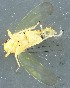  ( - ZMUO.078919)  @11 [ ] by-nc (2023) Marko Mutanen University of Oulu
