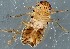  ( - ZMUO.078922)  @11 [ ] by-nc (2023) Marko Mutanen University of Oulu