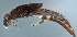  ( - EPAVE17)  @13 [ ] Unspecified (default): All Rights Reserved  Unspecified Unspecified