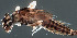  (Koorrnonga - EPAVE48)  @13 [ ] Unspecified (default): All Rights Reserved  Unspecified Unspecified