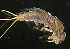  ( - JCD317)  @11 [ ] Unspecified (default): All Rights Reserved  Unspecified Unspecified