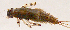  ( - JD005)  @12 [ ] Unspecified (default): All Rights Reserved  Unspecified Unspecified