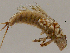  ( - JD145)  @13 [ ] Unspecified (default): All Rights Reserved  Unspecified Unspecified