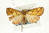  ( - CNCLEP00089697)  @11 [ ] CreativeCommons - Attribution Non-Commercial Share-Alike (2011) Jean-Francois Landry, CNC and Zhaofu Yang, BIO Canadian National Collections