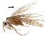  ( - BIOUG02500-F04)  @11 [ ] CreativeCommons - Attribution (2018) CBG Photography Group Centre for Biodiversity Genomics
