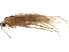  ( - BIOUG02500-G09)  @11 [ ] CreativeCommons - Attribution (2018) CBG Photography Group Centre for Biodiversity Genomics