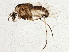  ( - BIOUG02729-E07)  @13 [ ] CreativeCommons - Attribution (2013) CBG Photography Group Centre for Biodiversity Genomics