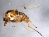  ( - BIOUG02723-G08)  @12 [ ] CreativeCommons - Attribution (2012) CBG Photography Group Centre for Biodiversity Genomics
