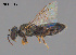  ( - CCDB-03790-A12)  @11 [ ] CreativeCommons Attribution NonCommercial ShareAlike (2025) Remko Leijs South Australian Museum