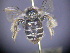  ( - CCDB-03790-C12)  @12 [ ] CreativeCommons - Attribution Non-Commercial Share-Alike (2013) Remko Leijs South Australian Museum