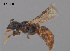  ( - RL1789B)  @11 [ ] CreativeCommons Attribution NonCommercial ShareAlike (2025) Remko Leijs South Australian Museum