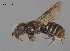  ( - SAMA 32-37590)  @11 [ ] CreativeCommons Attribution NonCommercial ShareAlike (2024) Remko Leijs South Australian Museum