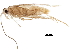  ( - BIOUG02332-F04)  @11 [ ] CreativeCommons - Attribution (2018) CBG Photography Group Centre for Biodiversity Genomics