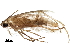  ( - BIOUG02332-F10)  @11 [ ] CreativeCommons - Attribution (2018) CBG Photography Group Centre for Biodiversity Genomics