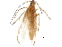  ( - BIOUG02332-G04)  @11 [ ] CreativeCommons - Attribution (2018) CBG Photography Group Centre for Biodiversity Genomics