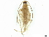  ( - BIOUG02333-C03)  @11 [ ] CreativeCommons - Attribution (2023) CBG Photography Group Centre for Biodiversity Genomics