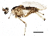  ( - BIOUG02344-G04)  @12 [ ] CreativeCommons - Attribution (2013) CBG Photography Group Centre for Biodiversity Genomics