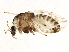  ( - BIOUG02350-G01)  @13 [ ] CreativeCommons - Attribution (2013) CBG Photography Group Centre for Biodiversity Genomics