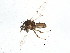  ( - BIOUG02411-A07)  @12 [ ] CreativeCommons - Attribution (2013) CBG Photography Group Centre for Biodiversity Genomics
