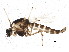  ( - BIOUG02417-C03)  @13 [ ] CreativeCommons - Attribution (2013) CBG Photography Group Centre for Biodiversity Genomics