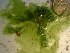  ( - GWS023223)  @11 [ ] Unspecified (default): All Rights Reserved  Unspecified Unspecified