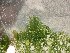  ( - GWS024562)  @11 [ ] Unspecified (default): All Rights Reserved  Unspecified Unspecified