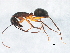  ( - BIOUG02492-E03)  @12 [ ] CreativeCommons - Attribution (2013) CBG Photography Group Centre for Biodiversity Genomics