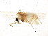  ( - BIOUG02509-C08)  @12 [ ] CreativeCommons - Attribution (2013) CBG Photography Group Centre for Biodiversity Genomics