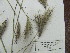  ( - iB42)  @11 [ ] Unspecified (default): All Rights Reserved  Unspecified Unspecified