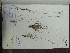  ( - iB45)  @11 [ ] Unspecified (default): All Rights Reserved  Unspecified Unspecified