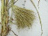  ( - iB48)  @11 [ ] Unspecified (default): All Rights Reserved  Unspecified Unspecified