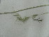  ( - iB60)  @11 [ ] Unspecified (default): All Rights Reserved  Unspecified Unspecified