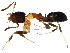  ( - BIOUG15820-G01)  @14 [ ] CreativeCommons - Attribution (2015) CBG Photography Group Centre for Biodiversity Genomics