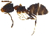  ( - BIOUG15887-G08)  @14 [ ] CreativeCommons - Attribution (2015) CBG Photography Group Centre for Biodiversity Genomics