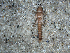  ( - JMH104)  @12 [ ] Unspecified (default): All Rights Reserved  Unspecified Unspecified