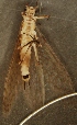  ( - JMH761)  @12 [ ] Unspecified (default): All Rights Reserved  Unspecified Unspecified