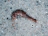  ( - JMH234)  @12 [ ] Unspecified (default): All Rights Reserved  Unspecified Unspecified