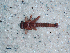  ( - JMH234)  @12 [ ] Unspecified (default): All Rights Reserved  Unspecified Unspecified