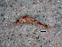 ( - JMH40)  @12 [ ] Unspecified (default): All Rights Reserved  Unspecified Unspecified