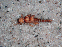  ( - JMH40)  @12 [ ] Unspecified (default): All Rights Reserved  Unspecified Unspecified