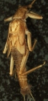  ( - JMH922)  @12 [ ] Unspecified (default): All Rights Reserved  Unspecified Unspecified