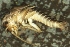  ( - JMH952)  @11 [ ] Unspecified (default): All Rights Reserved  Unspecified Unspecified