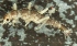  ( - JMH968)  @11 [ ] Unspecified (default): All Rights Reserved  Unspecified Unspecified