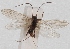  ( - AN08 000301)  @11 [ ] Unspecified (default): All Rights Reserved  Unspecified Unspecified