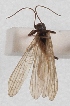  ( - AN08 000436)  @11 [ ] Unspecified (default): All Rights Reserved  Unspecified Unspecified