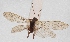  ( - AN08 000437)  @11 [ ] Unspecified (default): All Rights Reserved  Unspecified Unspecified