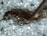  ( - JMH60)  @12 [ ] Unspecified (default): All Rights Reserved  Unspecified Unspecified