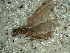  ( - JMH120)  @12 [ ] Unspecified (default): All Rights Reserved  Unspecified Unspecified